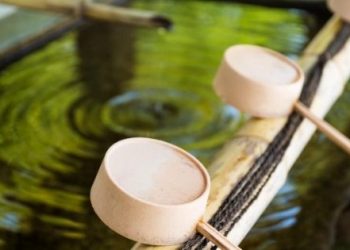 Benefits Of Purification Of Water Important