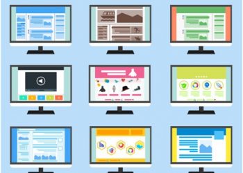 Unlock the Potential of Adobe Spark