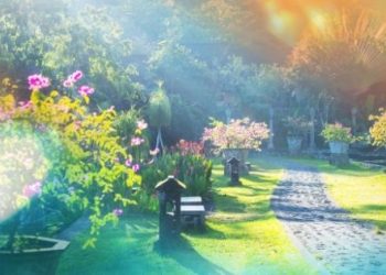 Learning How to Garden Like a Green Thumb