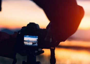 Capture Your Surroundings: 3 Photography Tips for Nature Lovers