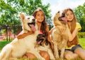 Benefits of Owning Pets And Things to Know