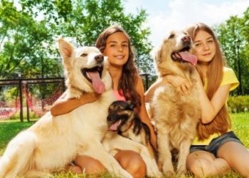 Benefits of Owning Pets And Things to Know