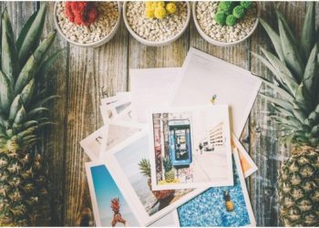 How to Use An Online Collage Maker to Your Best Advantage