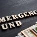 How to Budget If You Are Fired: Case of Money Emergency