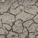 Top Tips for Understanding Soil Erosion Control Solutions