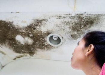 Utilizing Water Damage Restoration Services Has These 5 Key Benefits