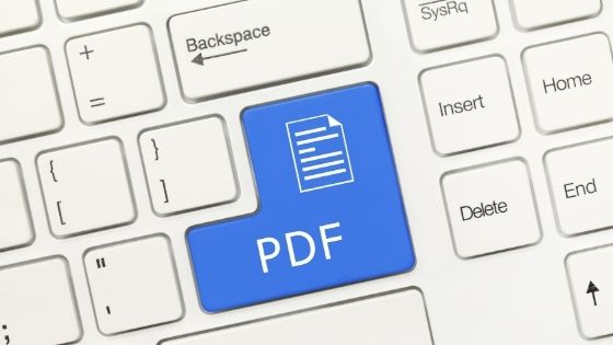 What is a PDF File