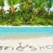 A Guide to Timeshare Deeds