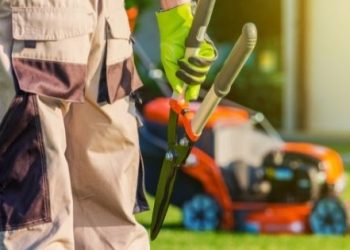 5 Must-Have Tools if You Own a Landscaping Business