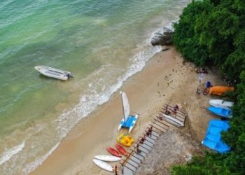 6 Incredible Things to Do in Clearwater, Florida