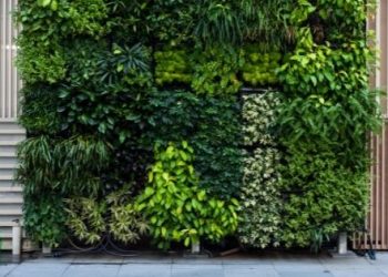 Benefits of Vertical Garden at your Home