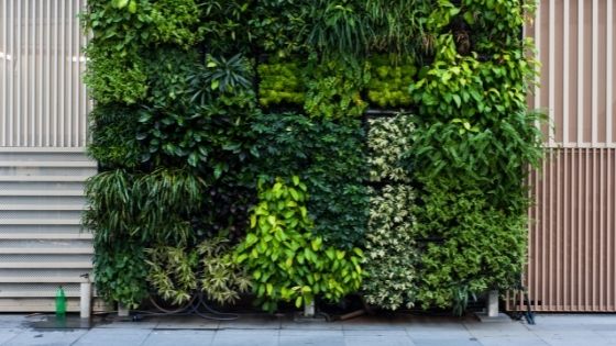 Benefits of Vertical Garden at your Home