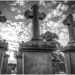 Headstone vs. Tombstone: What Are the Differences