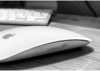 The Mouse Varieties And Their Features