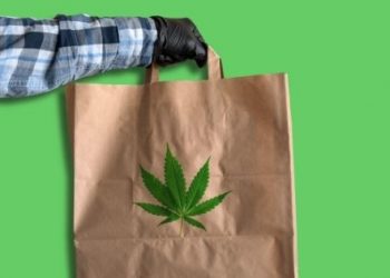Questions to Ask When Ordering Same-Day Marijuana Delivery