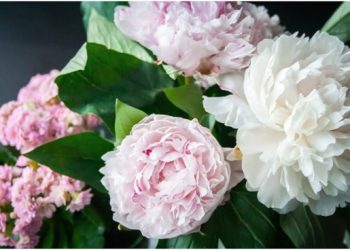 The Complete Guide That Makes Gifting Fresh Flowers a Simple Process