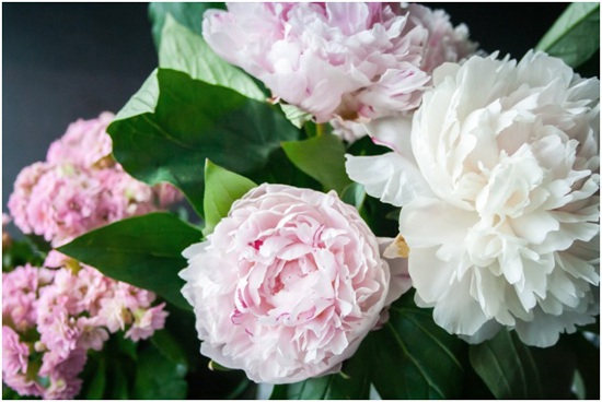 The Complete Guide That Makes Gifting Fresh Flowers a Simple Process