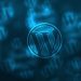 5 Helpful WordPress Tips You Need to Know This Year