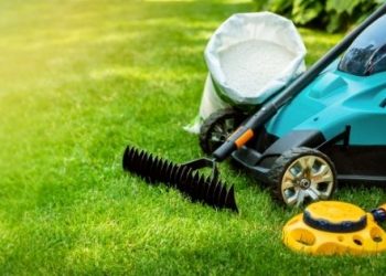 5 Types of Services Offered by a Professional Lawn Care Company