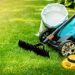 5 Types of Services Offered by a Professional Lawn Care Company
