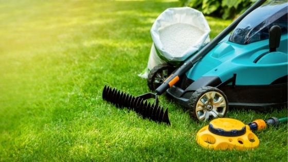 5 Types of Services Offered by a Professional Lawn Care Company