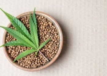 An Ultimate Guide to Measuring Weed