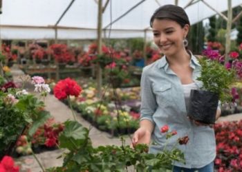 Best Kinds of Trees You Can Buy Online in 2022