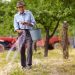 What Steps Do You Take in Fertilizing Your Cannabis Plants