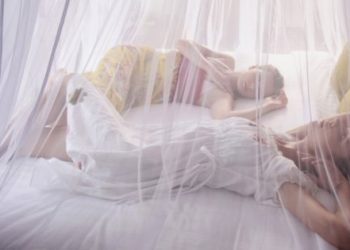 Wrong Perceptions About Mosquito Nets Amongst People