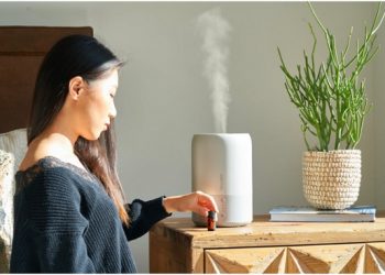 The Benefits of a Humidifier for Your Health and Home