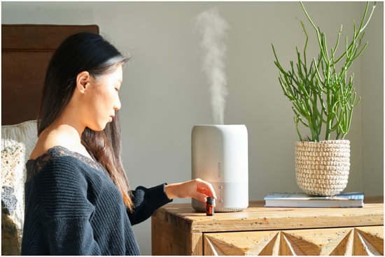 The Benefits of a Humidifier for Your Health and Home