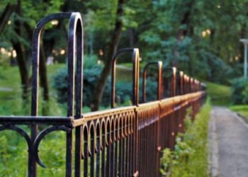 Things to Consider When Trying to Create Privacy Around Your Property