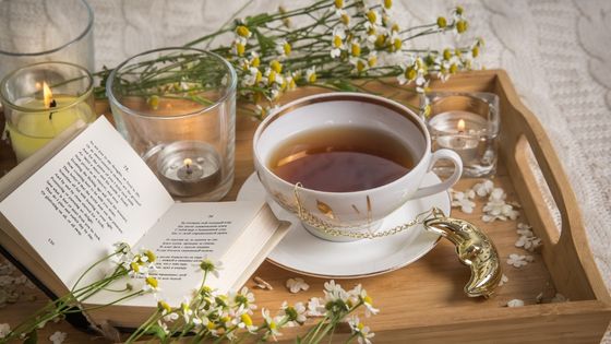 Do You Like Tea? These Are The Best Ones To Enjoy