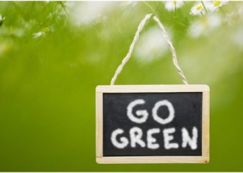 Easy and Effective Ways to Lower Your Carbon Footprint