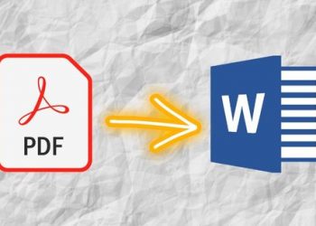 PDF to Word - the Simplest Methods of Conversion