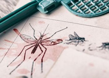 Mosquitoes and Public Health in Florida