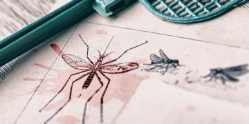 Mosquitoes and Public Health in Florida