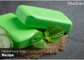 DIY Peppermint Soap Recipe – How To Make Peppermint Soap At Home?