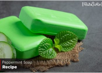 DIY Peppermint Soap Recipe – How To Make Peppermint Soap At Home?